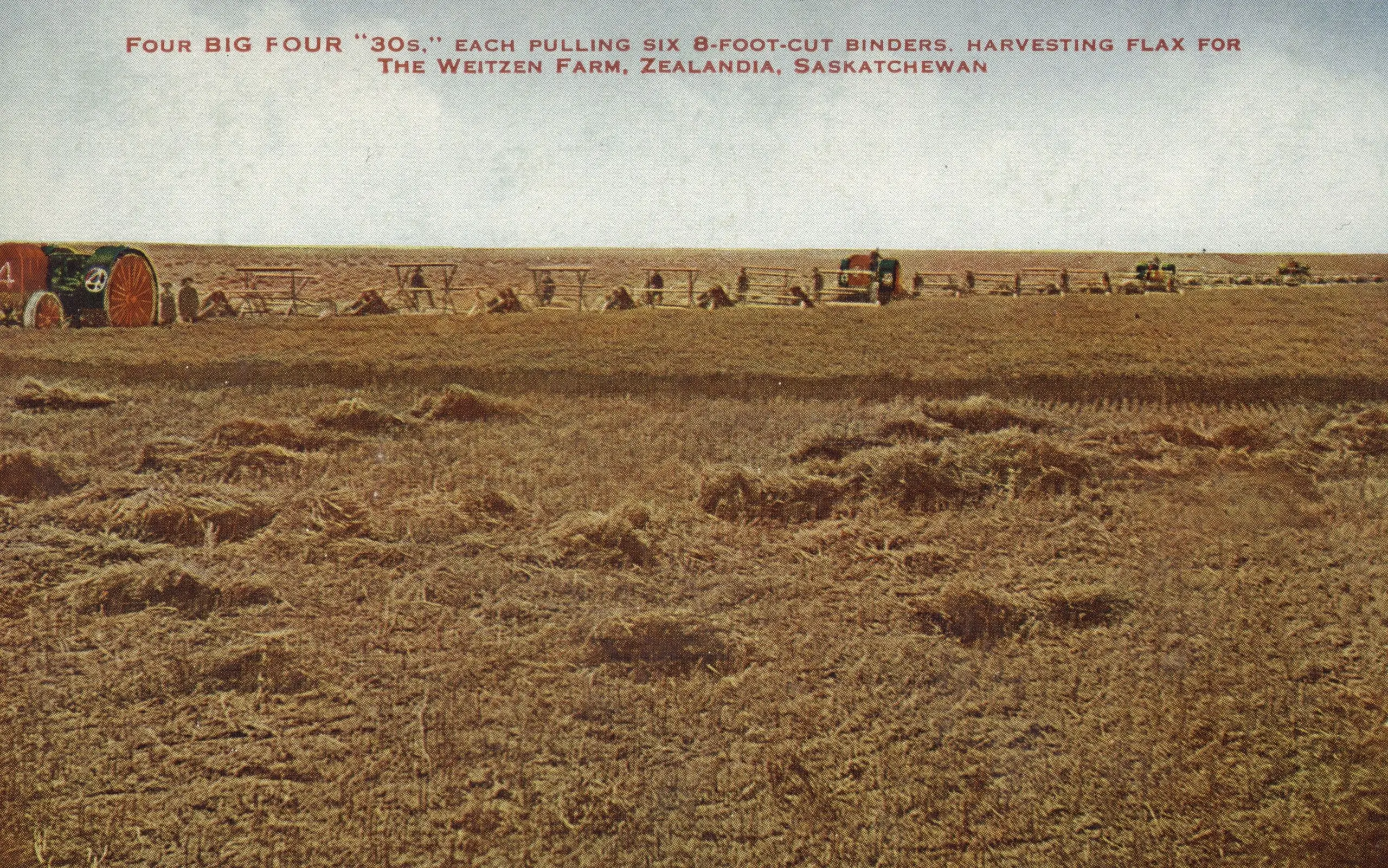 Harvesting flax on the Weitzen Farm with tractors and binders